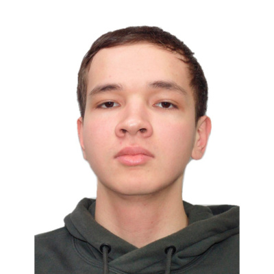 Шайхезадин Дамир Инсафович