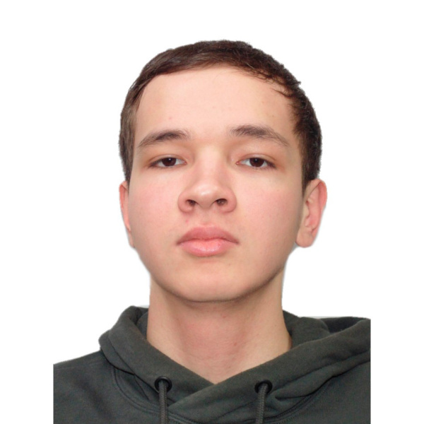 Шайхезадин Дамир Инсафович
