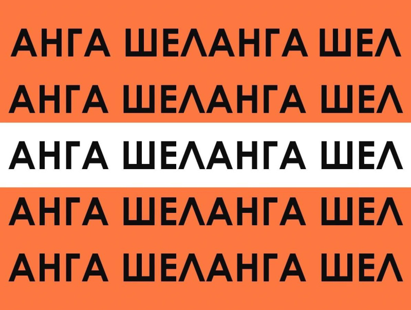 Студенческий лагерь "Шеланга"